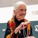 Déprogrammation : France 5 bouscule sa grille pour rendre hommage à Jane Goodall