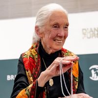 Déprogrammation : France 5 bouscule sa grille pour rendre hommage à Jane Goodall