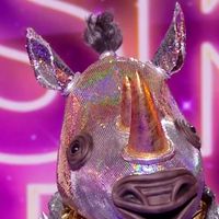 “Mask Singer” 2025 : Qui se cachait derrière “Le Rhino" et a été démasqué ce vendredi 2 mai sur TF1 ?
