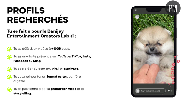 Les profils recherchés par Banijay et Youtube.