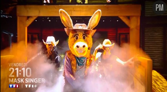 Qui se cache sous l'Ane dans "Mask Singer" 2026 ?