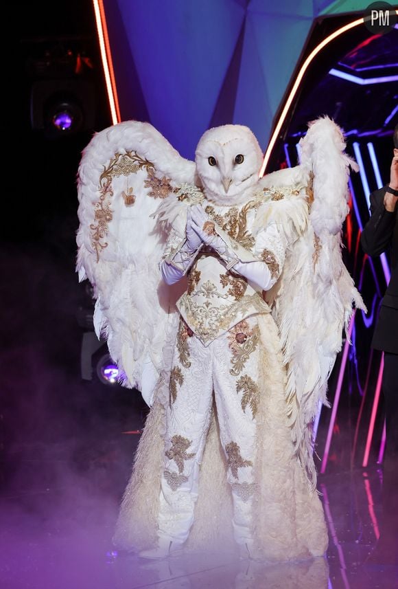 Qui se cache sous la Chouette dans "Mask Singer" 2026 ?