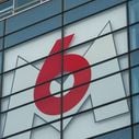 "297,7 millions d'euros contre 315 millions" : Le chiffre d'affaires de M6 a reculé de 5,5 % au premier trimestre