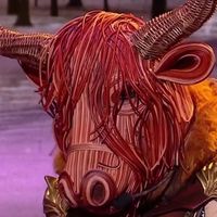 "Mask Singer" 2025 : Quelle célébrité se cachait sous le Bison et a été éliminée ce vendredi soir sur TF1 ?