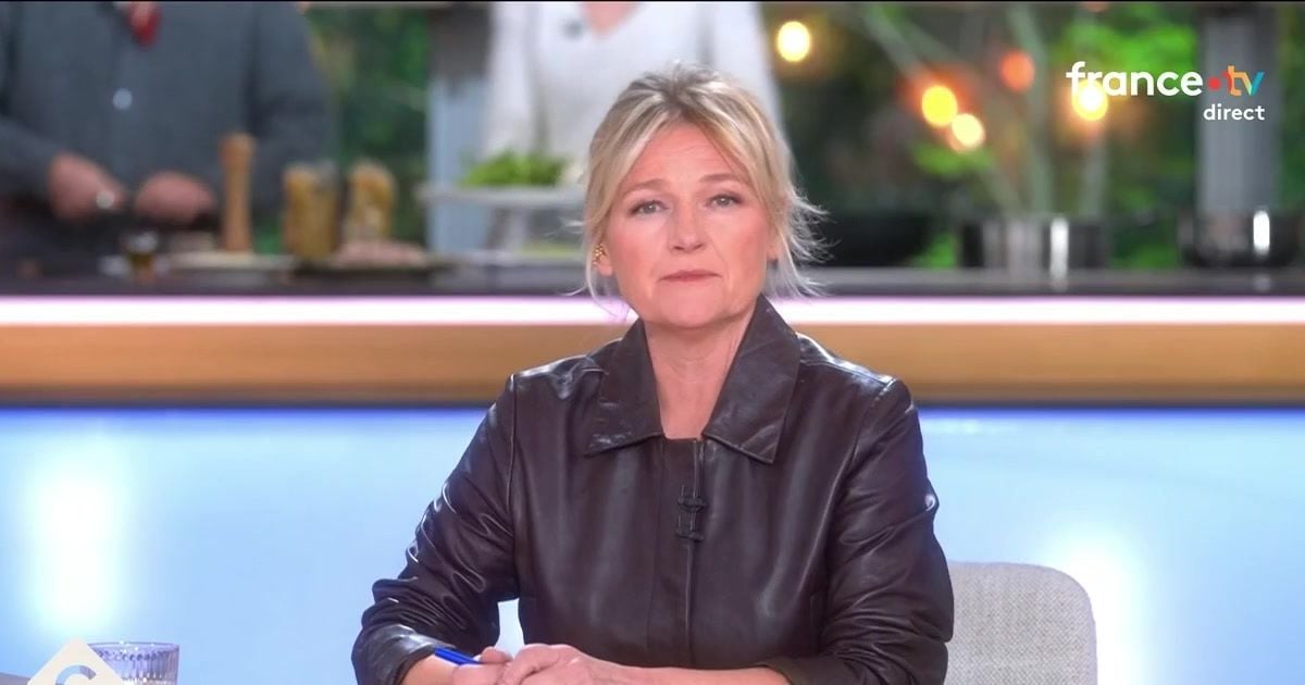 プレアクセス視聴者: フランス 5 で絶好調のアンヌ＝エリザベス・ルモワンとの「C to you」、フランス 2 でナグイはまだ苦戦中