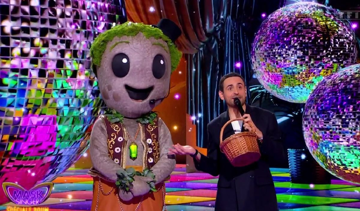 "Mask Singer" 2026 : Qui se cachait sous le Caillou, premier personnage démasqué ce vendredi 5 juin sur TF1 ?