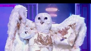 "Mask Singer" : On a démasqué la Chouette... Il s'agit d'un artiste vedette des années 80