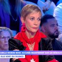 "C’est très grave" : Cyril Hanouna fait une mise au point après les propos déformés d'Isabelle Morini-Bosc, accusée de racisme envers les Palestiniens