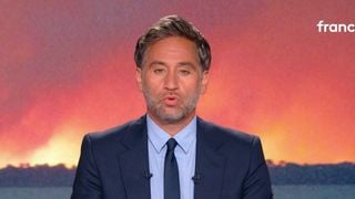 Audiences access : Quelle performance pour l'édition spéciale du "20 Heures" de France 2 consacrée aux feux de forêts en France ?
